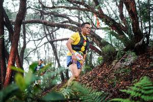 BIB: 
                            <button type="button" onclick="openModal(26296455)" class="btn btn-primary btn-sm float-right btn-popup" data-toggle="modal" data-target=".modal-high-quality">
                        <i class="fas fa-shopping-cart"></i> Add to Cart
                    </button>
                                            <button type="button" onclick="isThisMe(26296455, true)" class="btn btn-success btn-sm float-right btn-popup btn-isme hidden" data-toggle="tooltip" data-placement="bottom" title="นี่คือรูปของคุณใช่ไหม คลิกที่นี่เพื่อเอาเข้าอัลบั้ม">
                        <i class="fas fa-plus"></i> Add to album
                    </button>
                    <button type="button" onclick="isThisMe(26296455, false)" class="btn btn-warning btn-sm float-right btn-popup btn-isnotme hidden">
                        <i class="fas fa-ban"></i> Remove from album
                    </button>